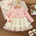 Sweet & Cute Autumn Baby Girls' Dress, Ages 0-12 Months | Color: Pink | Image 1