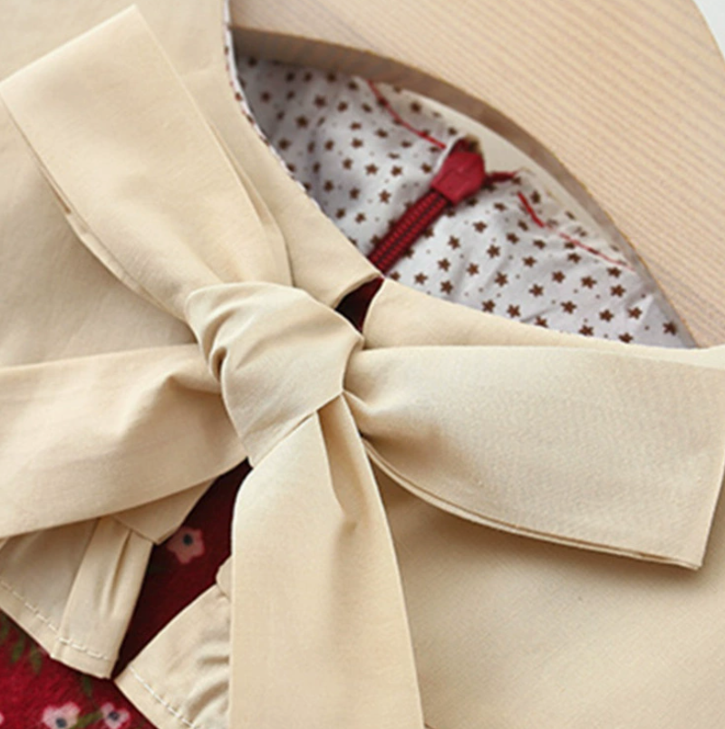 Sweet & Cute Autumn Baby Girls' Dress, Ages 9-24 Months | Color: Red | Image 2