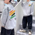 Minimalist Spring Boys' Sweatshirt, Ages 2-13 | Color: Grey | Image 1
